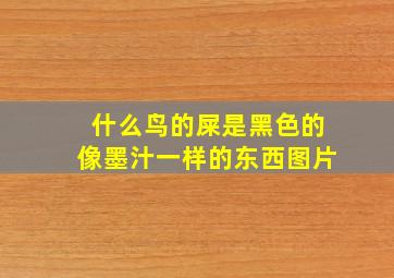 什么鸟的屎是黑色的像墨汁一样的东西图片