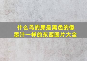 什么鸟的屎是黑色的像墨汁一样的东西图片大全