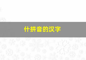 什拼音的汉字