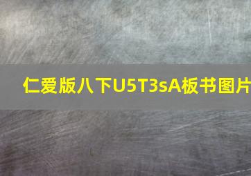 仁爱版八下U5T3sA板书图片