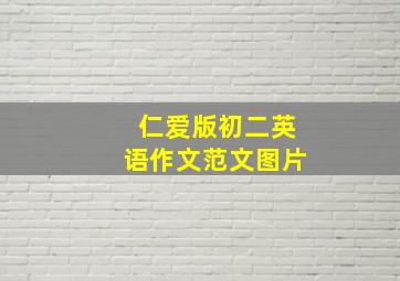 仁爱版初二英语作文范文图片