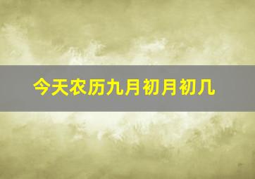 今天农历九月初月初几