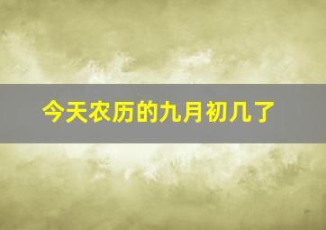 今天农历的九月初几了