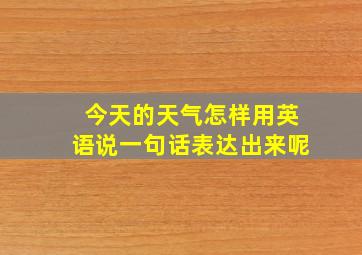 今天的天气怎样用英语说一句话表达出来呢