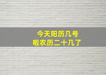 今天阳历几号啦农历二十几了