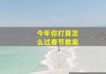 今年你打算怎么过春节教案