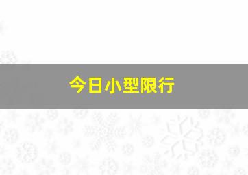 今日小型限行