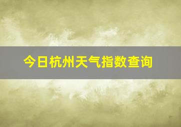 今日杭州天气指数查询