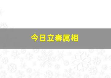 今日立春属相