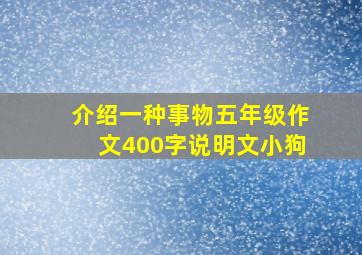 介绍一种事物五年级作文400字说明文小狗