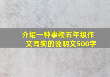 介绍一种事物五年级作文写狗的说明文500字