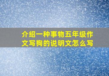 介绍一种事物五年级作文写狗的说明文怎么写