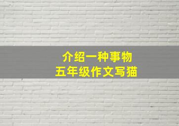 介绍一种事物五年级作文写猫