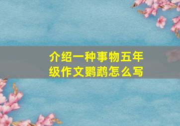 介绍一种事物五年级作文鹦鹉怎么写