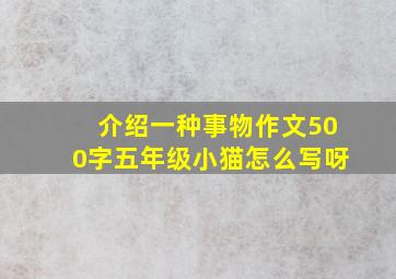 介绍一种事物作文500字五年级小猫怎么写呀