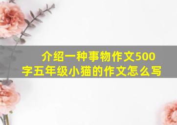 介绍一种事物作文500字五年级小猫的作文怎么写