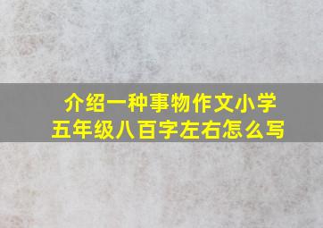 介绍一种事物作文小学五年级八百字左右怎么写