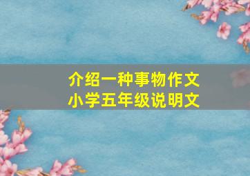 介绍一种事物作文小学五年级说明文