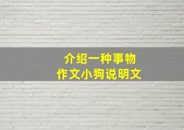 介绍一种事物作文小狗说明文