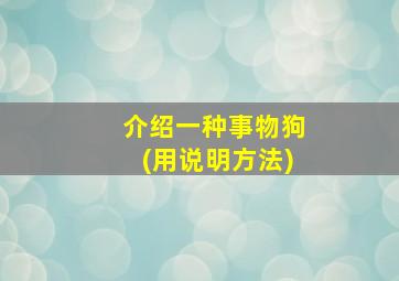 介绍一种事物狗(用说明方法)