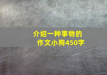 介绍一种事物的作文小狗450字