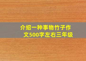 介绍一种事物竹子作文500字左右三年级