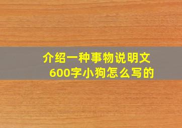 介绍一种事物说明文600字小狗怎么写的