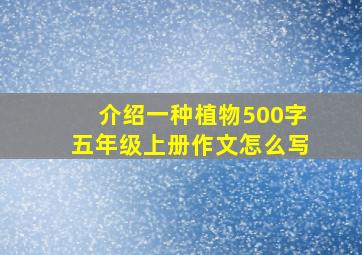 介绍一种植物500字五年级上册作文怎么写