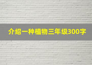 介绍一种植物三年级300字