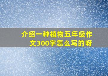 介绍一种植物五年级作文300字怎么写的呀