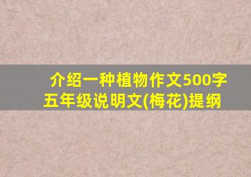 介绍一种植物作文500字五年级说明文(梅花)提纲