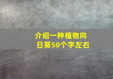 介绍一种植物向日葵50个字左右