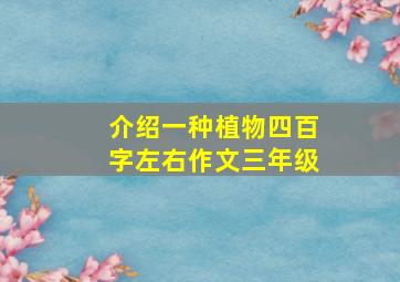 介绍一种植物四百字左右作文三年级