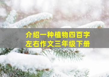 介绍一种植物四百字左右作文三年级下册