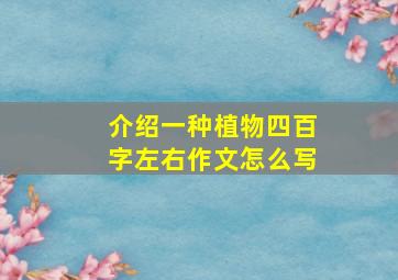 介绍一种植物四百字左右作文怎么写