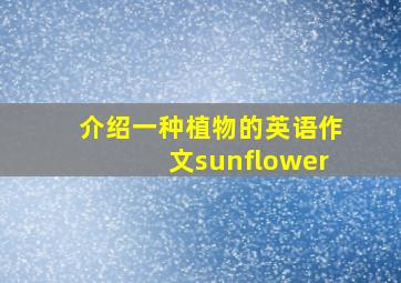 介绍一种植物的英语作文sunflower