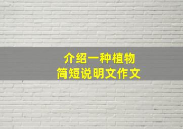 介绍一种植物简短说明文作文