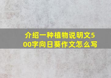 介绍一种植物说明文500字向日葵作文怎么写