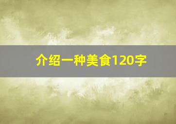 介绍一种美食120字