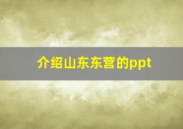 介绍山东东营的ppt