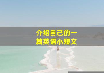 介绍自己的一篇英语小短文