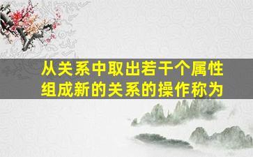 从关系中取出若干个属性组成新的关系的操作称为