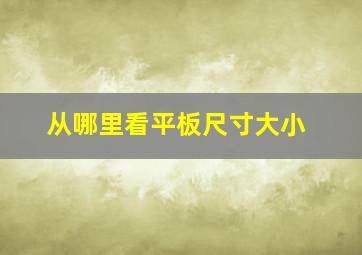 从哪里看平板尺寸大小