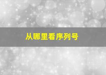 从哪里看序列号