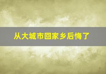 从大城市回家乡后悔了