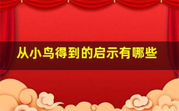 从小鸟得到的启示有哪些