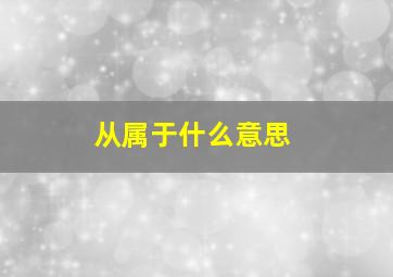 从属于什么意思