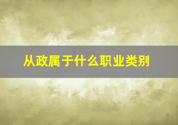 从政属于什么职业类别