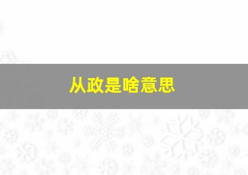 从政是啥意思