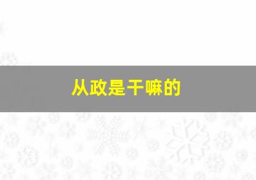 从政是干嘛的